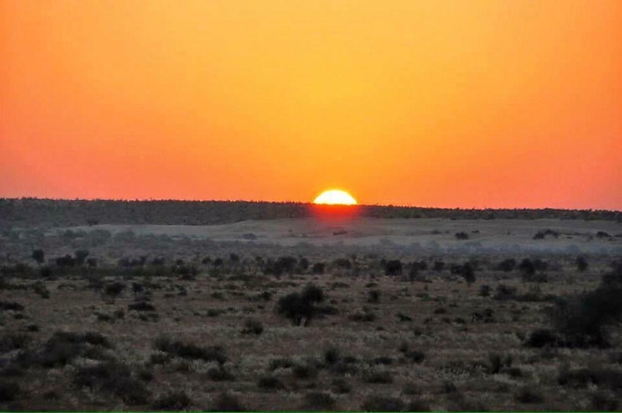 Journey Desert Camp Джайсалмер Екстериор снимка